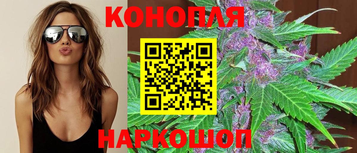 Канабис планчик Новотроицк